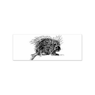 Sello De Caucho Cuidada y brillante Hedgehog Thunder_Cove