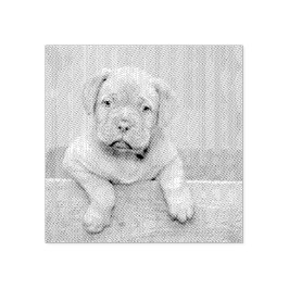 Sello De Caucho Custom Pet Dog Photo Rubber Personalized Stamp
