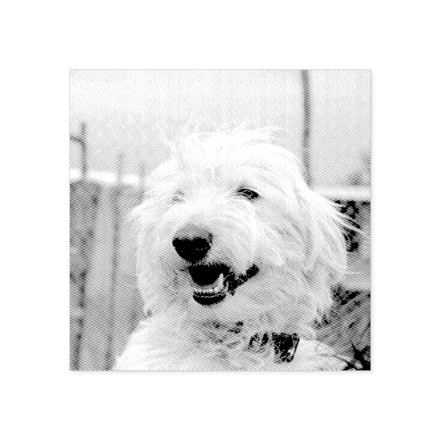 Sello De Caucho Custom Pet Photo Etched Style (Impresión)