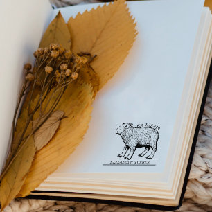 Sello De Caucho Cute Capybara Ex Libris Libro