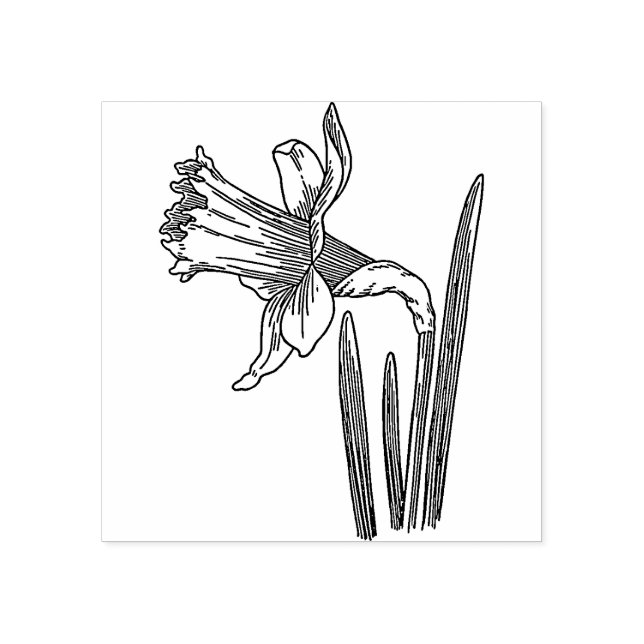 Sello De Caucho Daffodil Flower  Rubber stamp (Impresión)