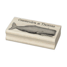 Dibujo de ballena vintage del siglo XIX N