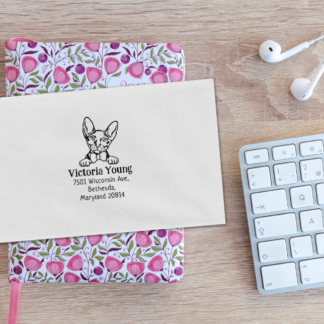 Sello De Caucho Dirección de devolución del gato de Donskoy (Subido por el creador)