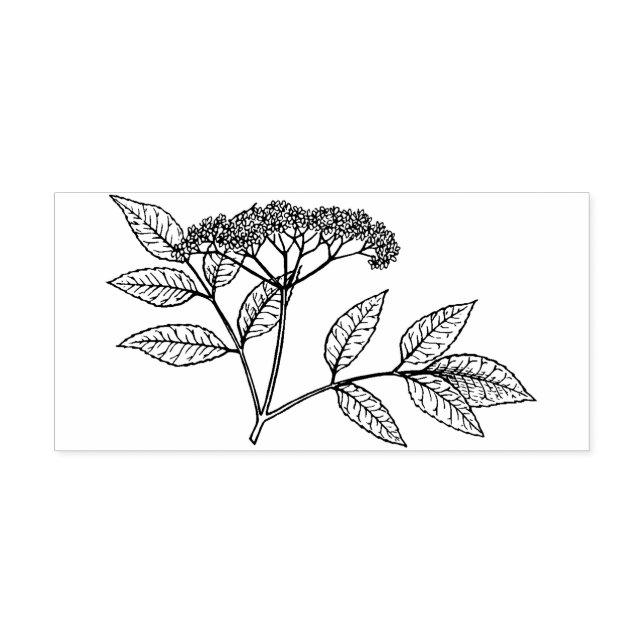 Sello De Caucho Elderberry plant  Rubber stamp (Impresión)
