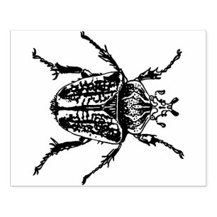 Sello De Caucho Escarabajo de Goliat
