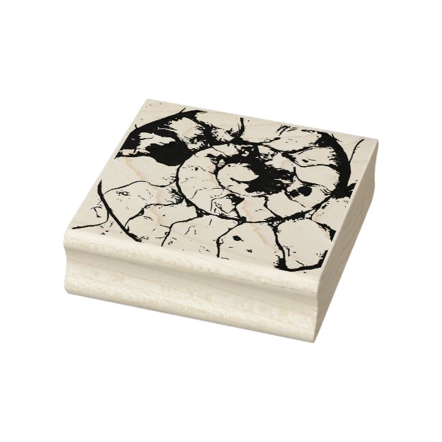 Sello De Caucho Espiral fósil amonita de Devonshire (Sello)