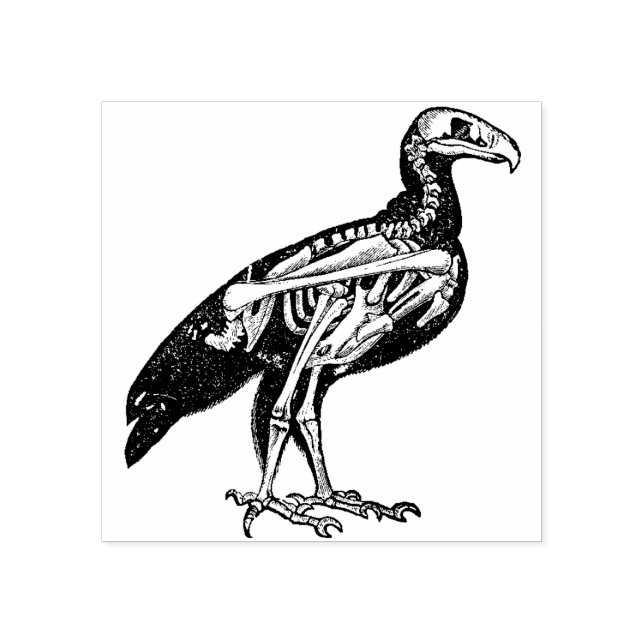 Sello De Caucho Esqueleto de un pájaro (Impresión)