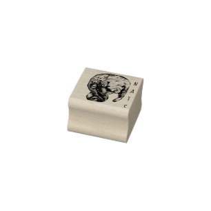 Sello De Caucho Etched Manatee