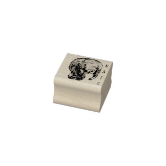 Sello De Caucho Etched Manatee