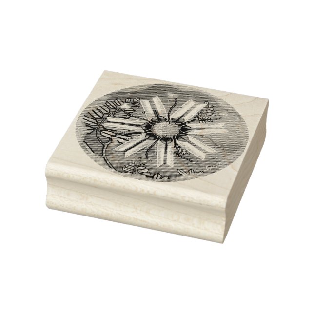 Sello De Caucho flor en el desierto (Sello)