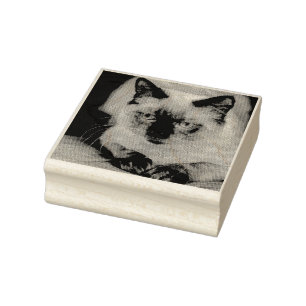 Sello De Caucho Foto de Mascota de gato personalizado
