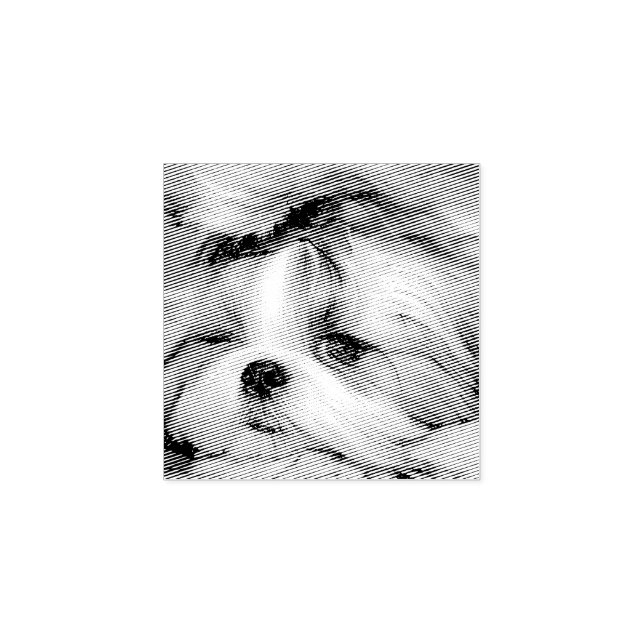 Sello De Caucho Foto de su personalizado de cachorros de perro mas (Impresión)