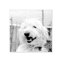 Foto personalizada de mascota estilo grabado