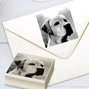 Sello De Caucho Foto personalizada de mascota o cualquier otra fot