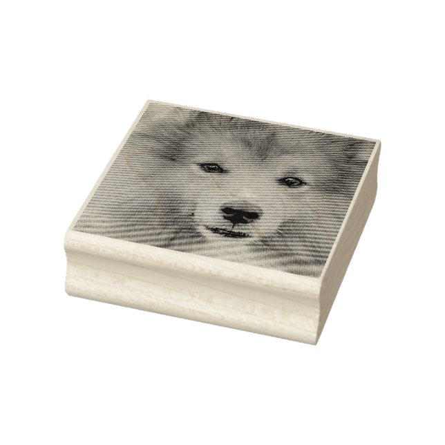 Sello De Caucho Foto personalizado (Sello)