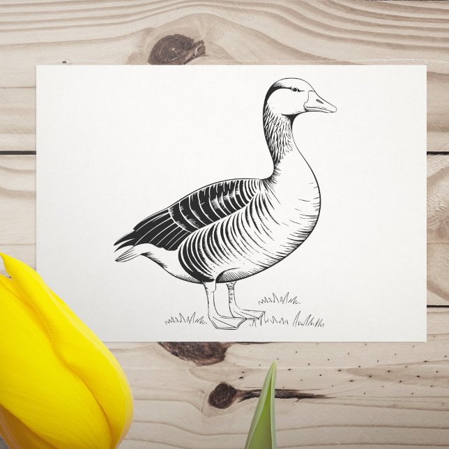 Sello De Caucho Ganso (Goose Rubber Stamp)