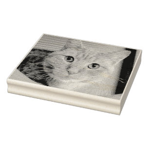 Sello De Caucho Gato