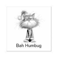 Gato de Santa Gruñón Personalizable