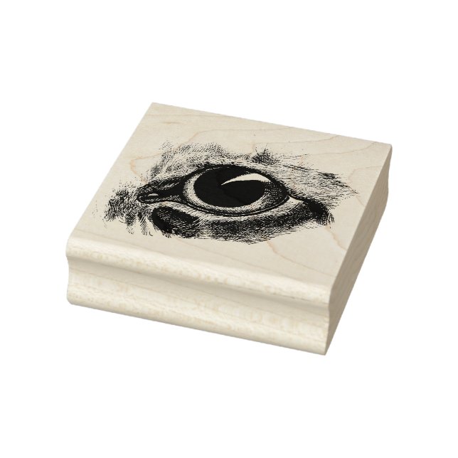 Sello De Caucho Gatos de dibujo de vintage Ilustracion de arte de  (Sello)