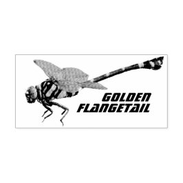 Sello De Caucho Golden Flangetail
