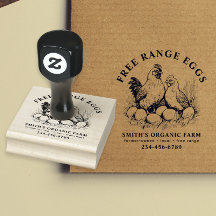 Granja de huevos frescos Hen y huevos