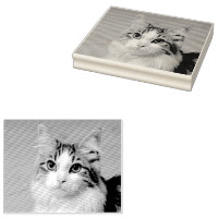 Haga su propio Mascota de fotografía Personalizado