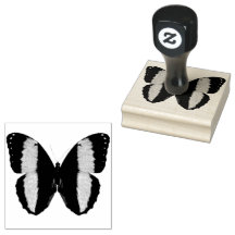 Hermosa estampilla de goma de mariposa de banda