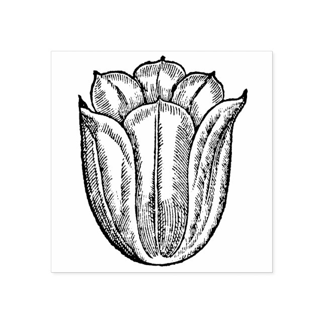 Sello De Caucho Holanda Botánica de Flor Rojo Flor Tulipán (Impresión)