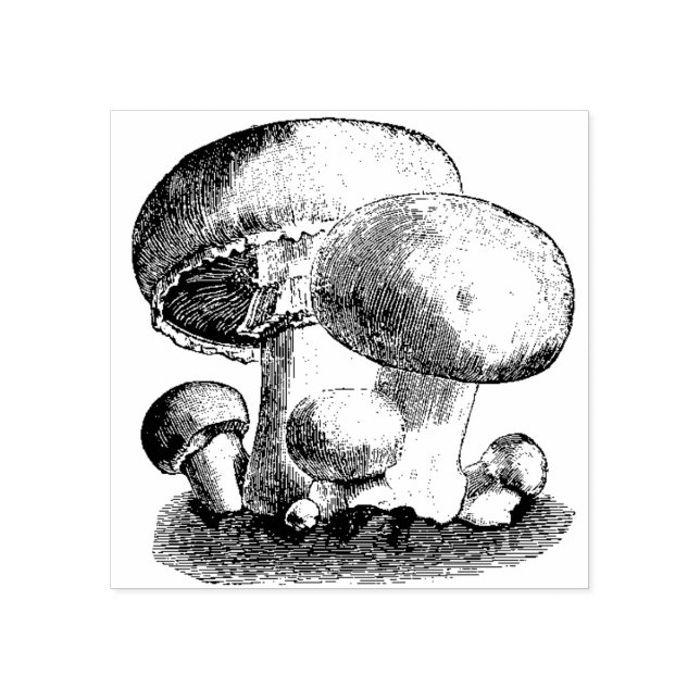 Sello De Caucho Hongos (Impresión)