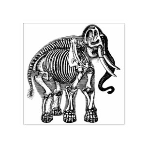 Sello De Caucho Huesos de elefante