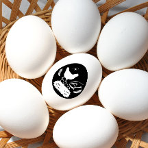 Huevo de granja Carton Pollo Granja Huevos de órga