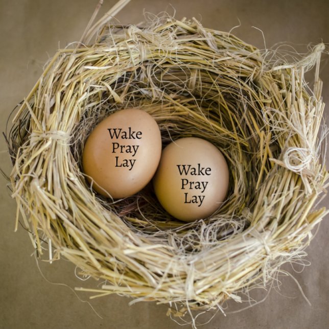 Sello De Caucho Huevo moderno y personalizado de Wake Pray Lay (modern personalized egg stamp)