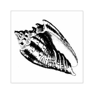 Sello De Caucho Ilustracion Conch Shell