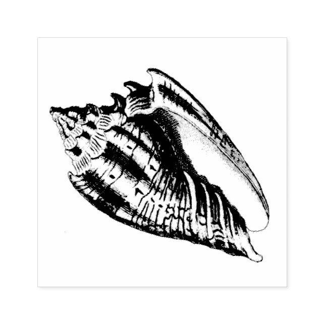 Sello De Caucho Ilustracion Conch Shell (Impresión)