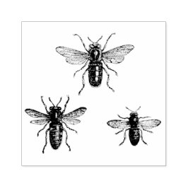 Sello De Caucho Ilustración de abeja reina vintage y abejas trabaj