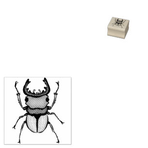 Sello De Caucho Insectos de entomología artística del escarabajo