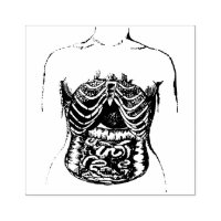 Intestinos internos