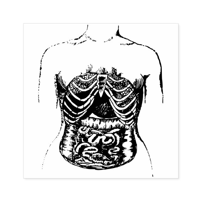 Sello De Caucho Intestinos internos (Impresión)