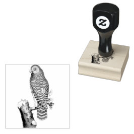 Sello De Caucho Lechuza nublada en un Ilustracion de bifurcación