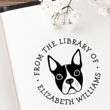 Lindo boston terrier de la biblioteca del nombre d