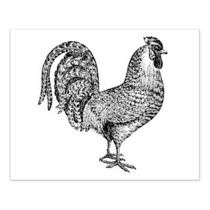 Sello De Caucho Litografía de Rooster #1