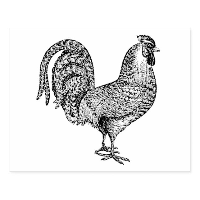 Sello De Caucho Litografía de Rooster #1 (Impresión)