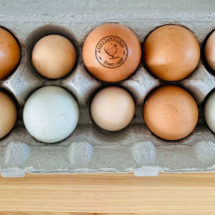 Sello De Caucho Logotipo personalizado de Hen Farmhouse Huevos org