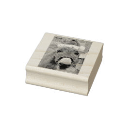 Sello De Caucho "¡Los burros hacen grandes amigos!"