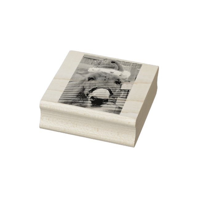 Sello De Caucho "¡Los burros hacen grandes amigos!" (Sello)