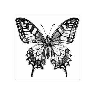 Sello De Caucho Mariposa de cola cruda del Viejo Mundo