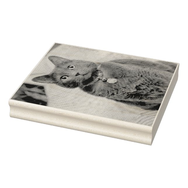 Sello De Caucho Mims (Sello)