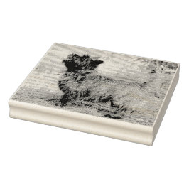 Sello De Caucho Mostrar chica