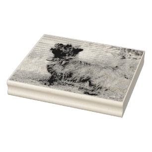 Sello De Caucho Mostrar chica