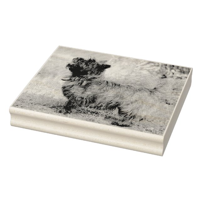 Sello De Caucho Mostrar chica (Sello)